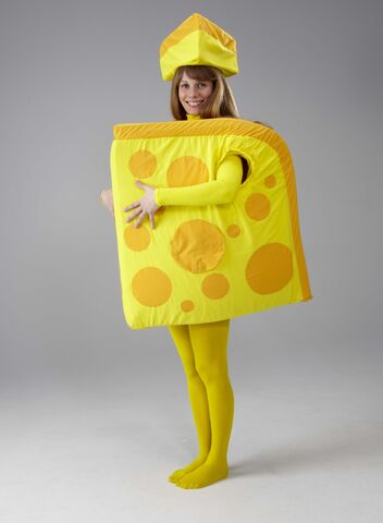 File:Cheese 4.jpg