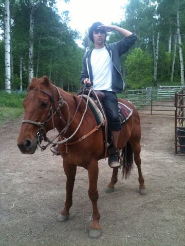 File:Onahorse.jpg