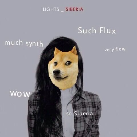 File:Lights - Doge edit.jpg