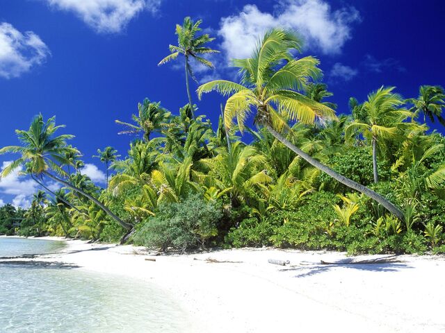 File:Palm Beach Solomon Islands.jpg