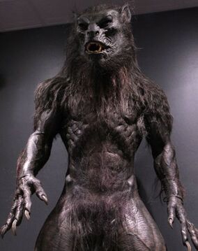 324px-Lycan 1