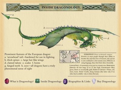 European Dragon