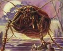 Cockroach