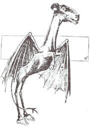 Jersey Devil Philadelphia Post 1909