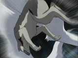 Wolfs-Trio.png