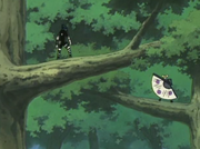 Sasukevstemari.png