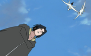 SasukevsDeidara-v.png