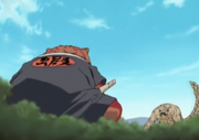 Narutovsgaara6.png