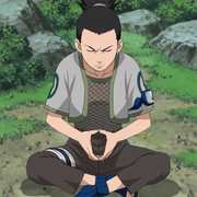 Shikamaruvstemari3.png