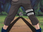 ShikamaruKageMane.png