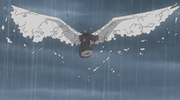 Flügel.png