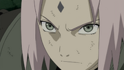 SakuraYinSiegel.png