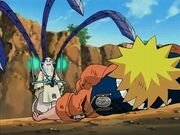 NarutovsSeimei