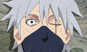 Kakashilebt02