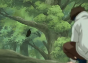 Shinovskankuro9.png