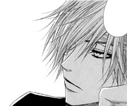 Kurosaki daisy