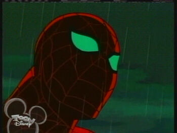 Spider-Man (Spider-Man)