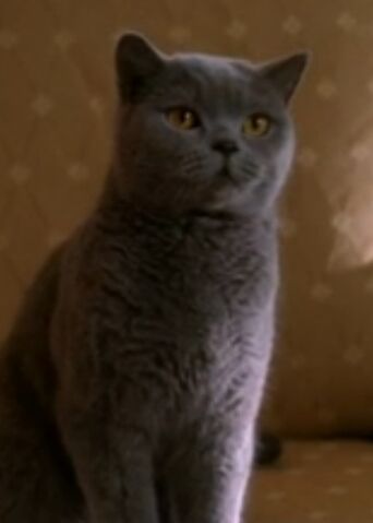 File:TobyNew.jpg