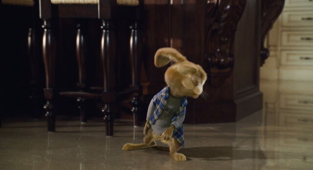 File:Hop-disneyscreencaps.com-2677.jpg