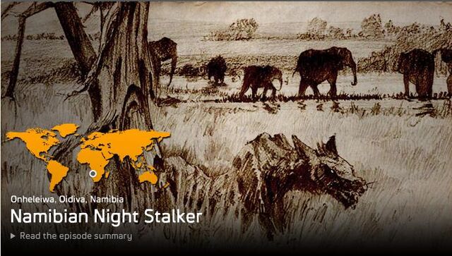 File:Namibian Night Stalker.jpg