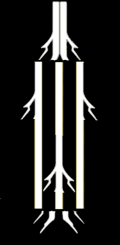 File:House of Night.png