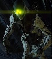 Bungie-Destiny-character-art-models.jpg