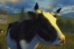 Cow