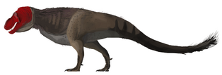 Skuggik & Great Dargon