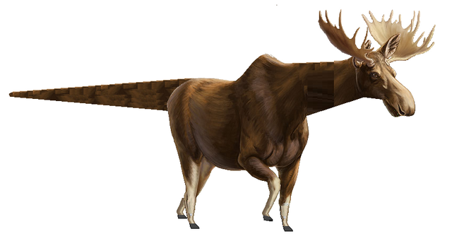 File:Paalka pack-moose.png