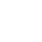 Carry 3.png
