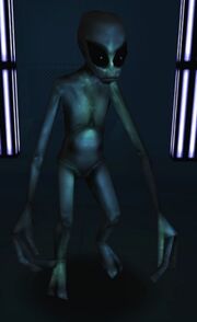Gray.jpg