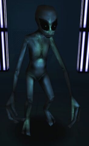Plik:Gray.jpg