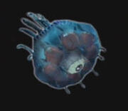 Egel