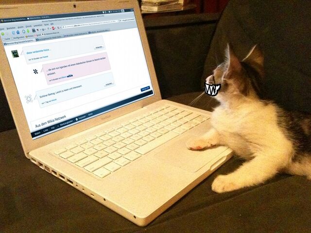 Datei:Grinsekatze.jpg