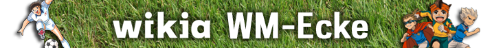 WM 2014 Blog-Header.png