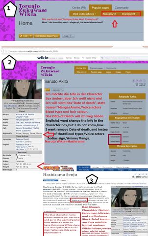 Datei:Wikia Hilfe Paket.jpg