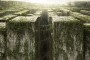 Maze-Maze Runner.jpg