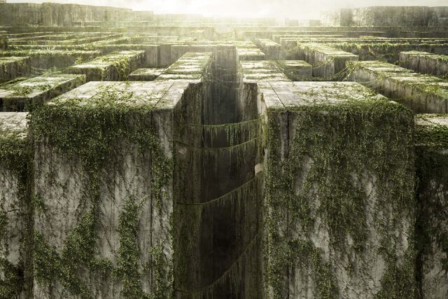 Datei:Maze-Maze Runner.jpg