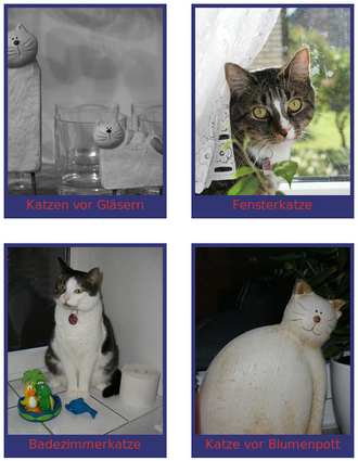 Cat-gallery