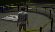 Crime scene 2