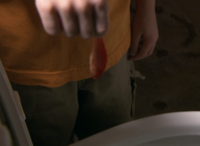 File:Bobfish.png