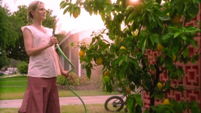 File:WateringTheLemonTree.png