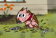 DogSeason3-4