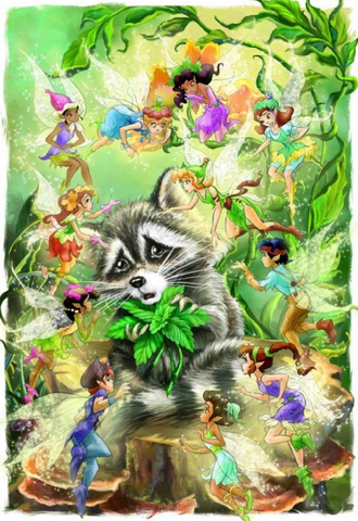File:Animal-talents-and-baby-raccoon.png