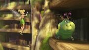 Tinkerbell looking books