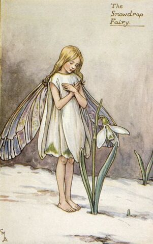 File:000snowdrop.jpg