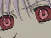 Rima eyes