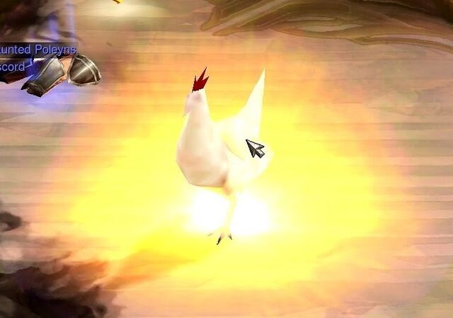 File:Chicken.jpg