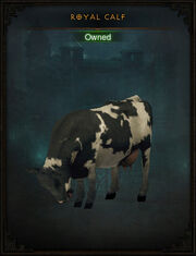 Anniversary-event-pet-2