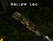 Hollow Log